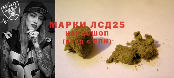 спайс Пересвет