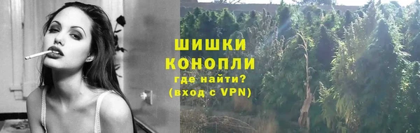 спайс Пересвет