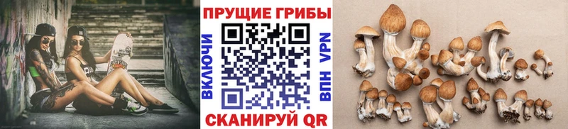 Галлюциногенные грибы мухоморы Шарыпово
